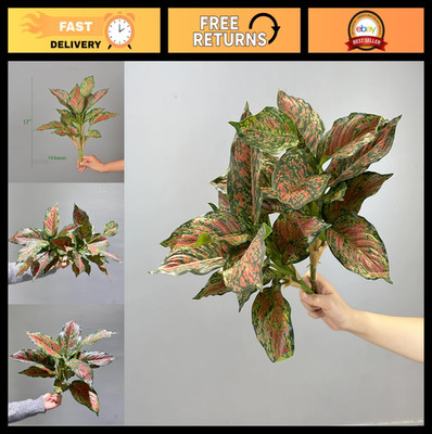 2pcs Artificial Halcyon Hosta Perennial Plants 17'' Faux Variegated Hosta Red Die