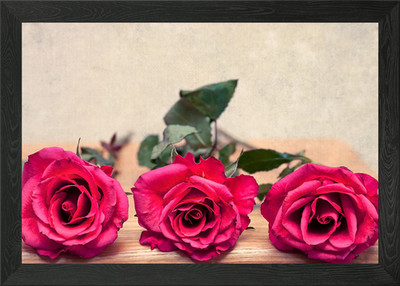 Drei Rosen gerahmtes Wandbild Poster Leinwanddruck Bild