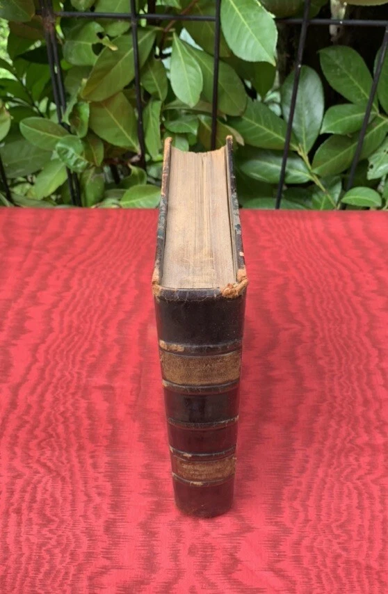 Photo 2/8