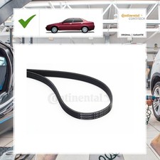 Keilrippenriemen Continental Ctam für Audi A8 4D2, 4D8 2.8 quattro