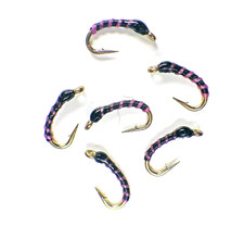 Texas Midge Larva Hot Pink Black San Juan SP - Premium Trout Fly Fishing Flies