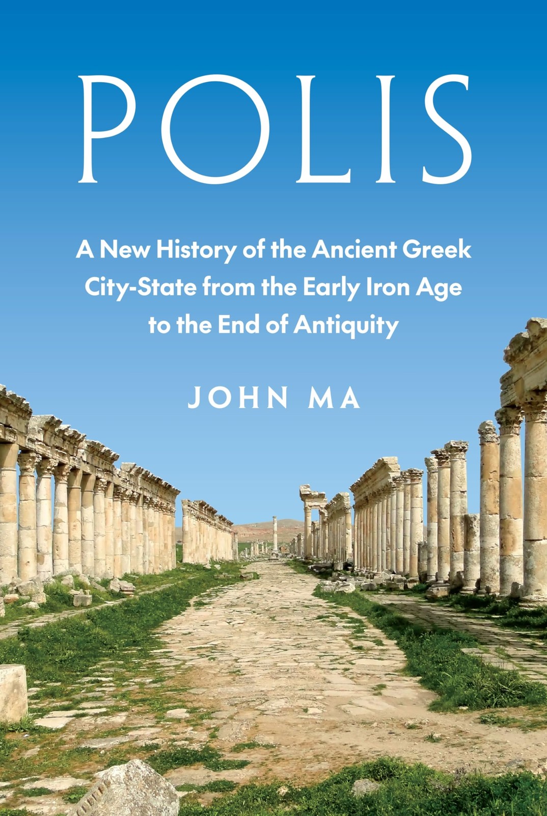 Polis by John Ma HARDBACK 9780691155388 - Image 3