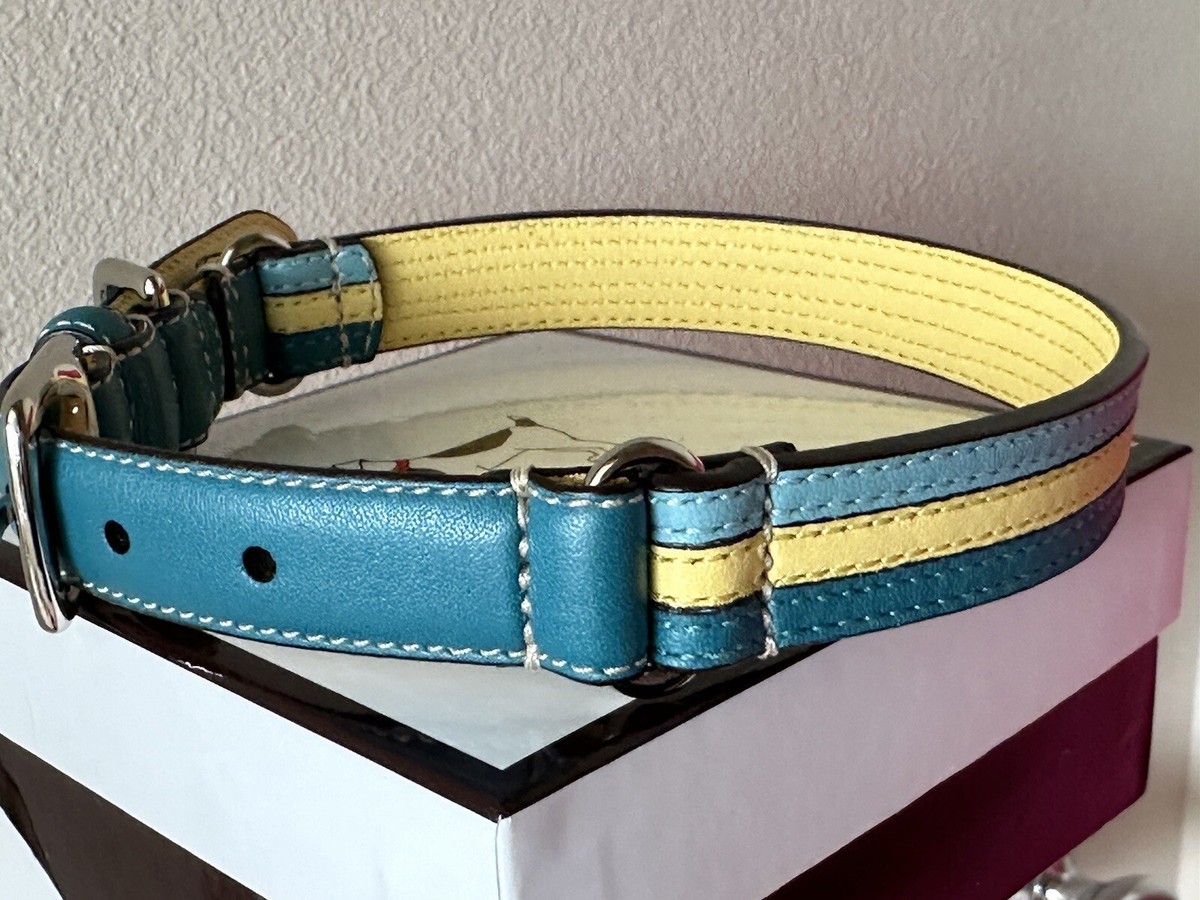 NEW COACH TEAL/YELLOW LEATHER DOG COLLAR SILVER CHARM 60407