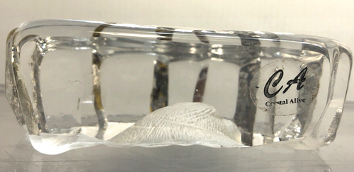 Carved Seal in Crystal Australian ‘Crystal Alive’ SEAL Figurine - Paperweight - Picture 7 of 9
