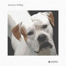 American Bulldog Needlepoint Kit or Canvas