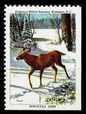 1966 NATIONAL WILDLIFE FEDERATION Poster Stamp 🦋 WHITETAIL DEER 🦋 NWF 1966 🦋