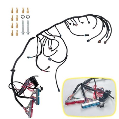 LS1 4L60E Stand Alone Harness For LS SWAP 4.8 5.3 6.0 97-06 Drive by Cable DBC