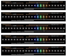 5 X Fermometer Adhesive Strip Thermometer