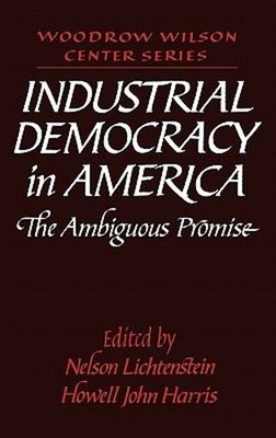 Industrial Democracy in America : The Ambiguous Promise Hardcover
