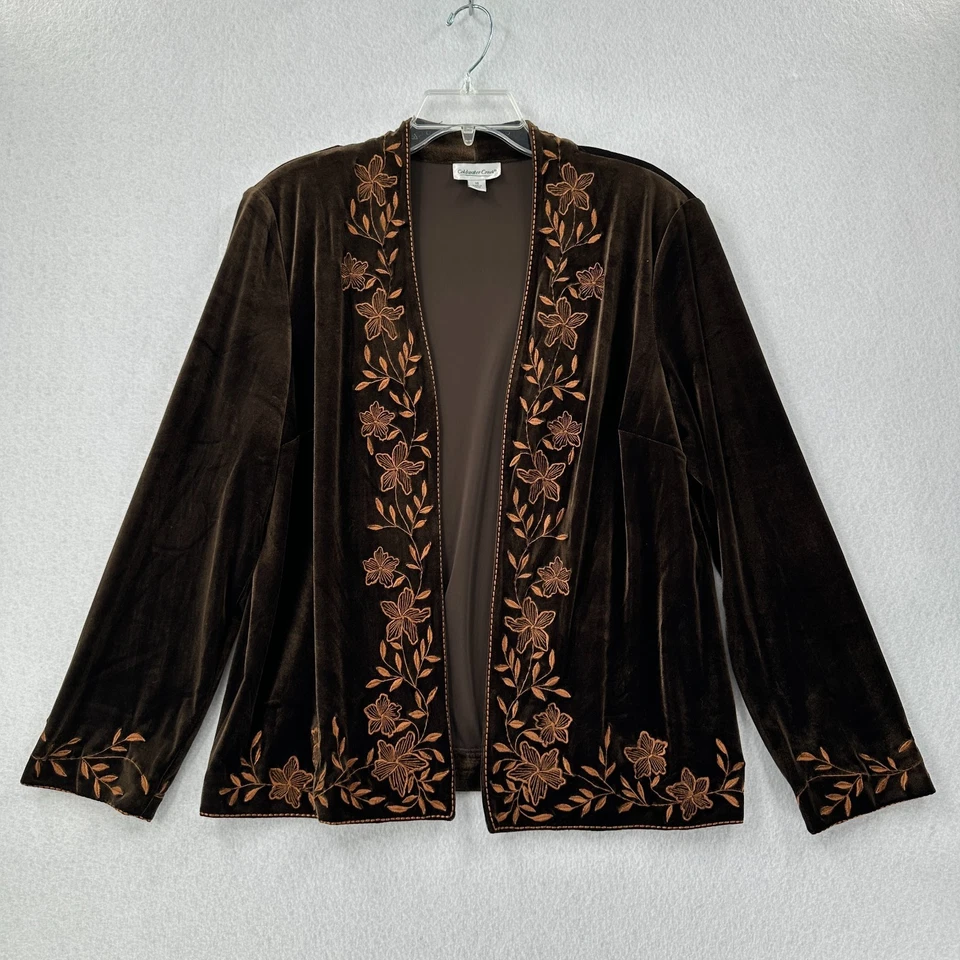 Conjunto Chaqueta Pantalones Terciopelo Bordado Coldwater Creek Marrón Talla 16 Foto 2 de 4