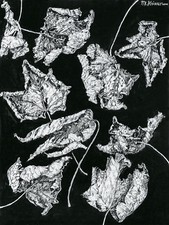 Michaela Krinner 1915-2006: Trockene Blätter Tuschezeichnung meisterlich Laub