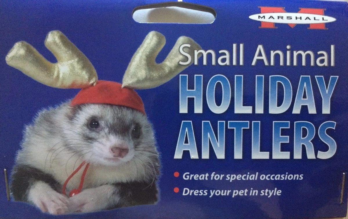 Marshall hotsell ferret toys