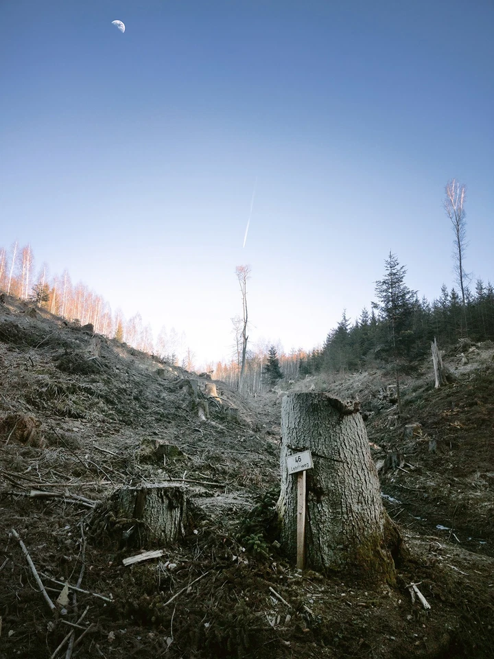 Großformatiges Foto auf Dibond a. Ausstellung, Landschaft, Architektur, abstrakt - Bild 3 von 4
