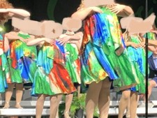 Gail McInnis Multi Colored Overlay/Tear-Away Dress w/ Rinestones -Multiple Sizes