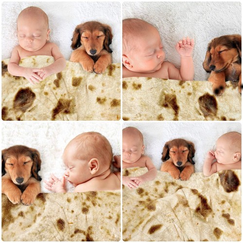 Tortilla Envelop Blanket,Burritos Round Envelop Blanket,Tortilla Throw Blanke... - Picture 4 of 8