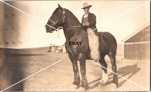 Vintage OOAK RPPC Postcard Cowboy Horseback Wooly Chaps Sepia Velox - Picture 2 of 3