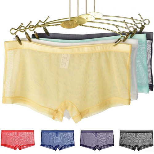 Sexy Men Boxer Briefs Sheer See Through Mesh Underwear Shorts Trunks Underpants - Picture 4 of 31