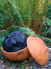 Iyami Soap "Leave my Child Alone" Ifa Ewe Oogun Agba Lagba African Black Soap