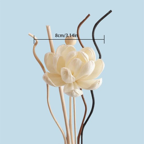 Dried Flowers Rattan Fragrance Diffuser Stick Reed Replacement Aroma Home Decor - Picture 27 of 36