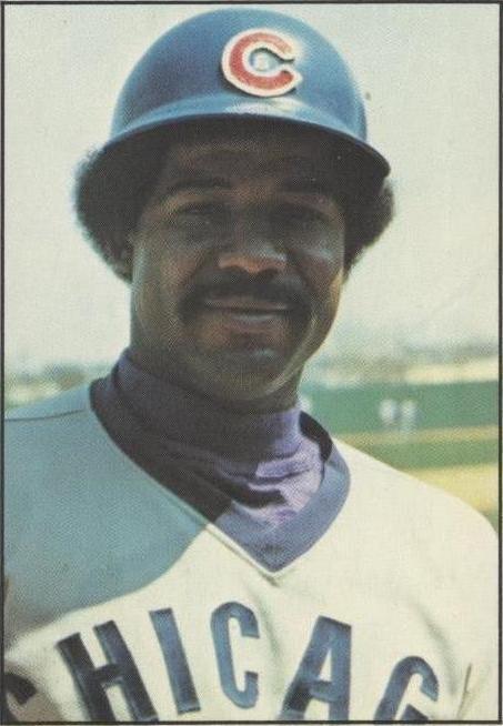 1976 SSPC - Tim Hosley #313 - 1 of 1