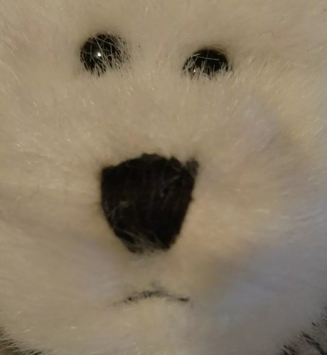Muñeco de nieve retirado Boyds Bears Eunice P. Snowbeary #9137 con bufanda tejida y botones - Imagen 7 de 12