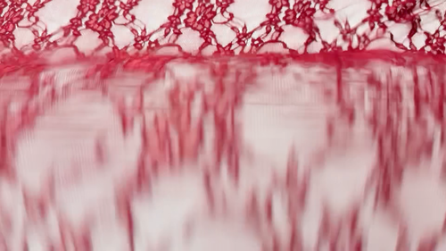 Tessuto in pizzo floreale stretch vino rosso a 4 vie - materiale di qualità premium per abiti - Video 1 di 1