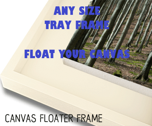 Any Size Tray Picture Frame - Floating Stretched Canvas or Raised Canvas Board - Picture 28 of 32