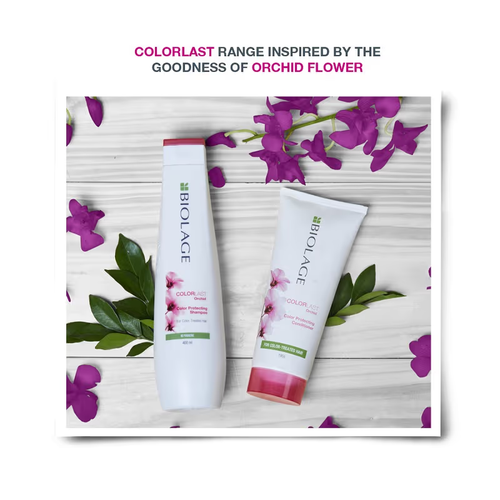 Matrix Biolage Colorlast 2-Step schützt coloriertes Haar, Shampoo + Conditioner - Bild 6 von 7