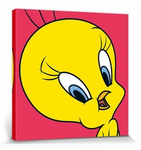 Looney Tunes Tweety Portrait Comic Poster Leinwand Druck 80x80cm Ebay