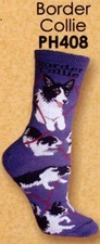 Border Collie Wheel House Novelty Socks
