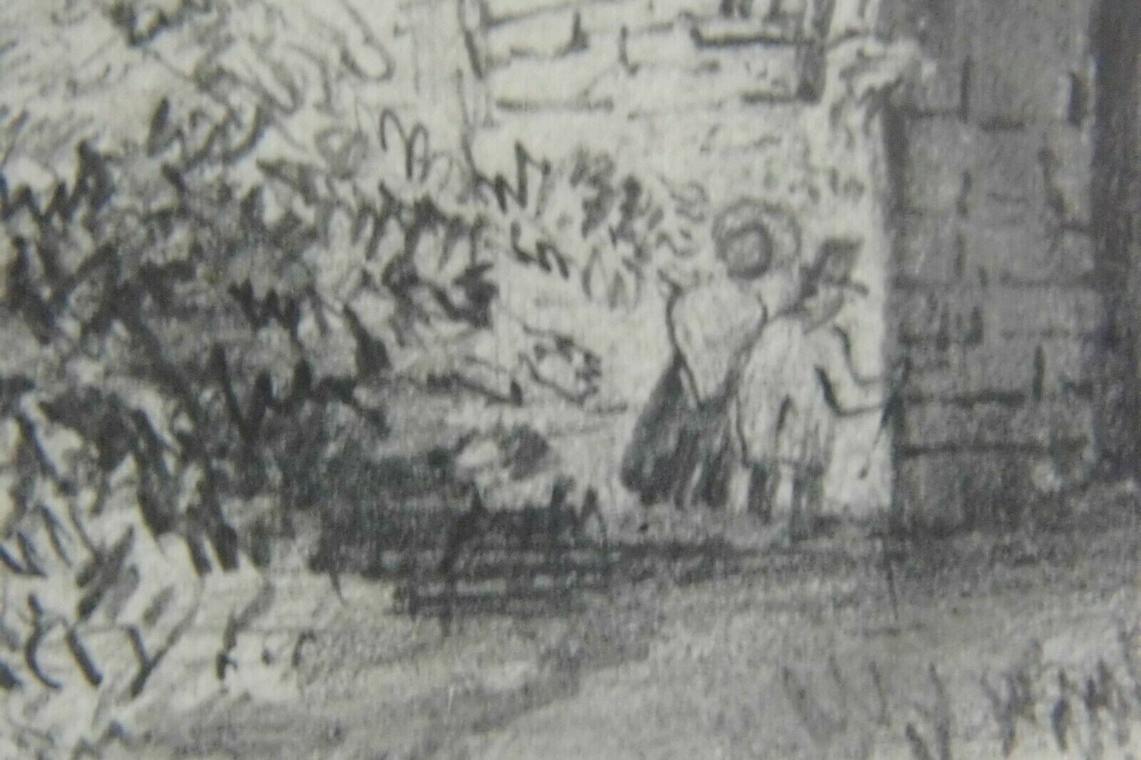 Picture 5 of 8