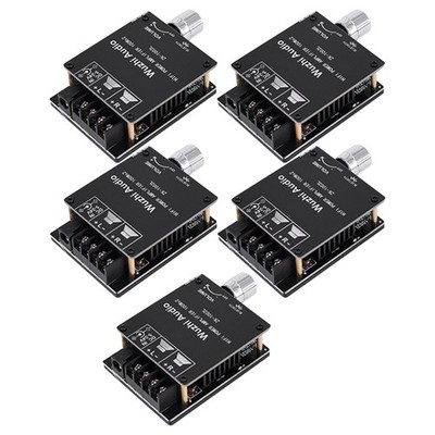 5X -1002L  Bluetooth 5.0 DC 5-24 V Drahtlos Audio Digital EndverstäRker S9101