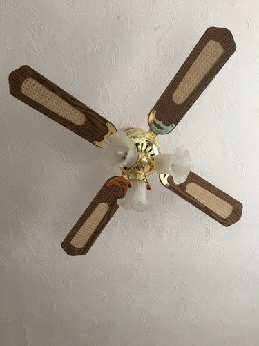 42" Polished Brass Cane Ceiling Fan 4 Blades 3 Lights Pull Cord NEW Vintage - Picture 3 of 19