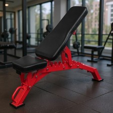 Workout Bench Adjustable Strength Training Bench Exercise Bench for Home Gym