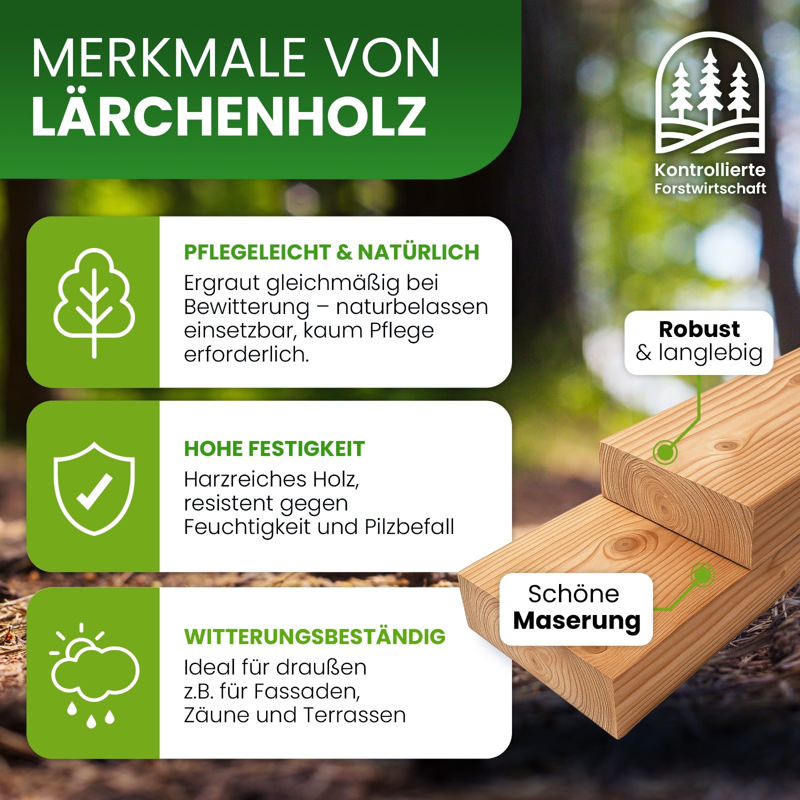 Bild 2 von 4