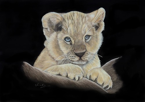 Lion Cub Portrait Fine Art Print Greeting Card, Suitable for any Occasion - Picture 2 of 3