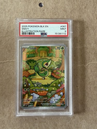 Snivy graded PSA 9 for sale on eBay
