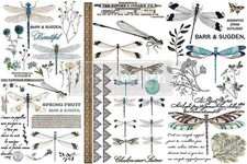 Redesign with Small Spring Dragonfly Rub-Ons - 6"x12", 3 sheets, Multi 