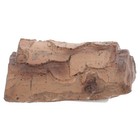 Bild 11 von 12