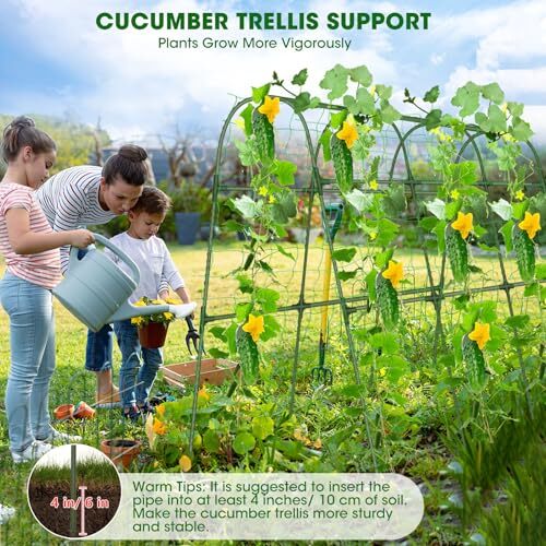Cucumber Trellis for Raised Bed,47.2x47.2 inch U-Shape Garden Trellis for - Picture 6 of 7