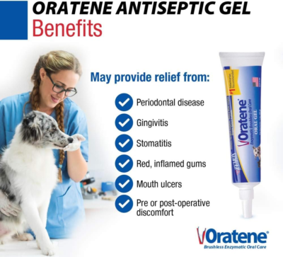 ZYMOX Oratene Brushless Oral Gel for Dogs and Cats, 1Oz | eBay