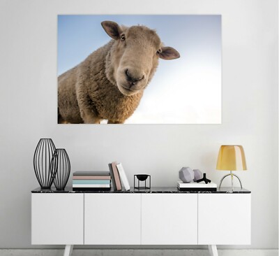 3D Schafe M78 Tier Wandaufkleber Wandtattoo Tapeten Wandbild Angelia