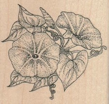 Morning Glories 3 1/4 x 3" Rubber Stamp, Flower Stamp, Plant Stamp