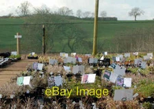 Photo 6x4 Plant sales area at Coton Manor Gardens  c2007