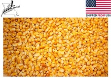 20lb Critter Corn Bulk Feed Corn For Pets Etc. Squirrels Mice Hamsters Chickens