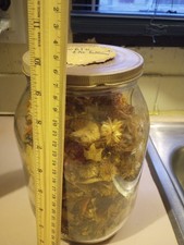 VTG Large Glass Jar  Lid Filled W/ Vintage Walk In The Woods Poturie