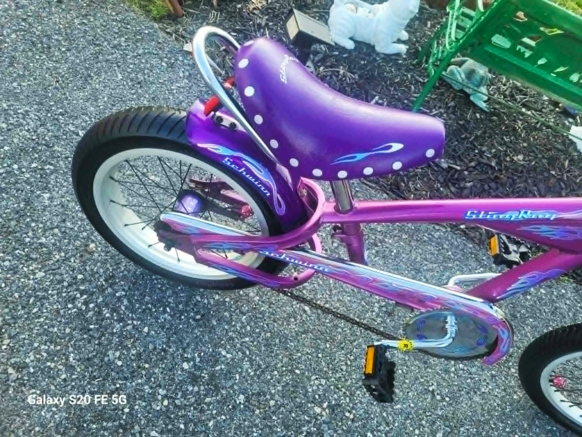 Schwinn Stingray 16