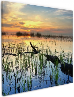 Wallario Leinwandbild Wandbild Schilf Abend - Sonnenuntergang Seelandschaft