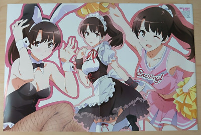 Saekano / Free! Timeless Medley (12x17 in) vintage/original anime poster insert