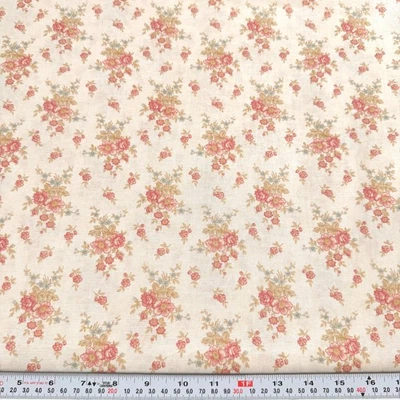 Aviary by 3 Sisters for Moda Florals on Cream Cotton Fabric by the HALF YARD